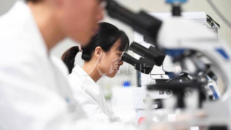 细胞培养基定制，揭秘个性化定制背后的科技力量**