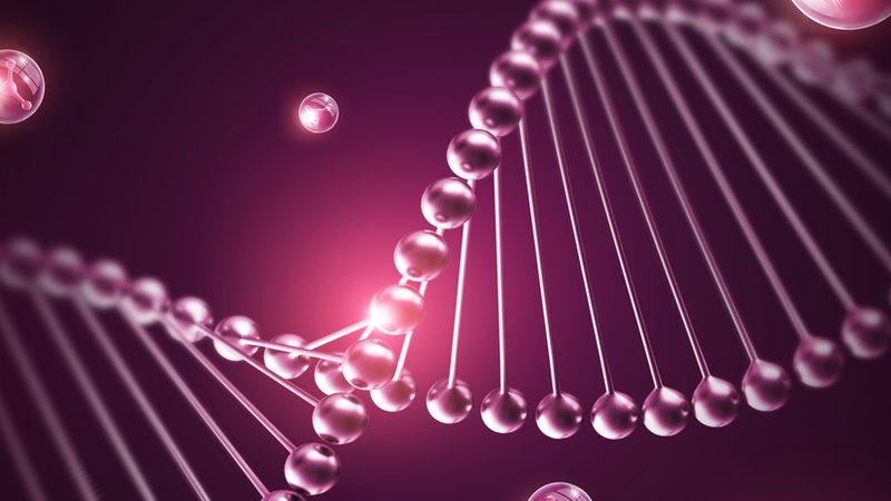 生物科技产品分类解析：探索多样化的应用场景