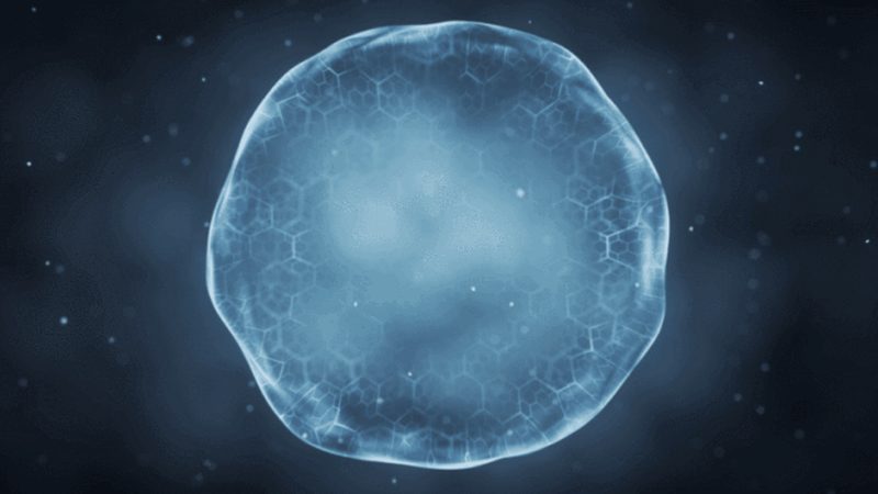 宠物抗体检测试剂盒加盟代理：揭秘其背后的技术奥秘