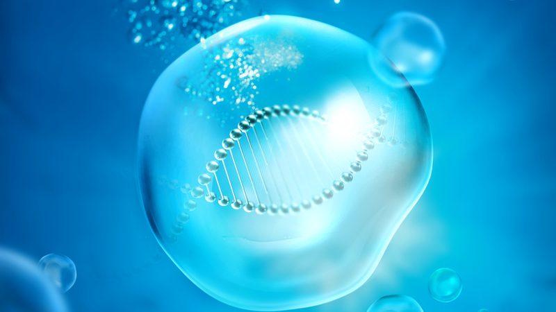 细胞工厂规模化生产，生物反应器与谁争锋？**