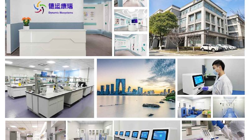 上海实验室耗材分类大全：揭秘实验室必备的“百宝箱”**