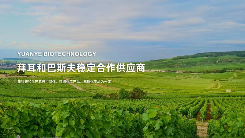 医院诊断试剂供应商怎么选