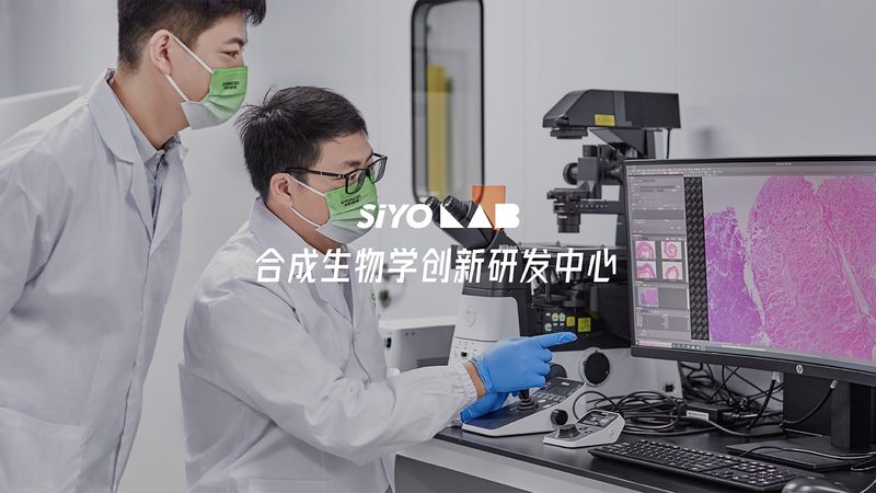 苏州礼仪服务有限公司