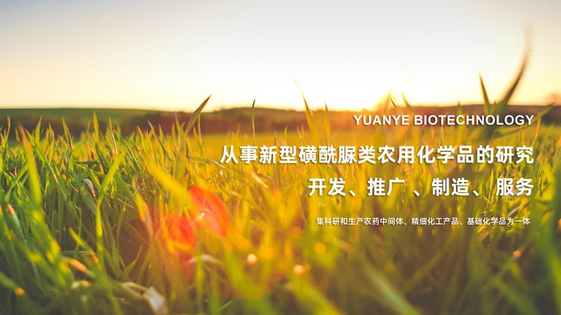 CRS在生物医药研发中的应用：案例解析与行业洞察**