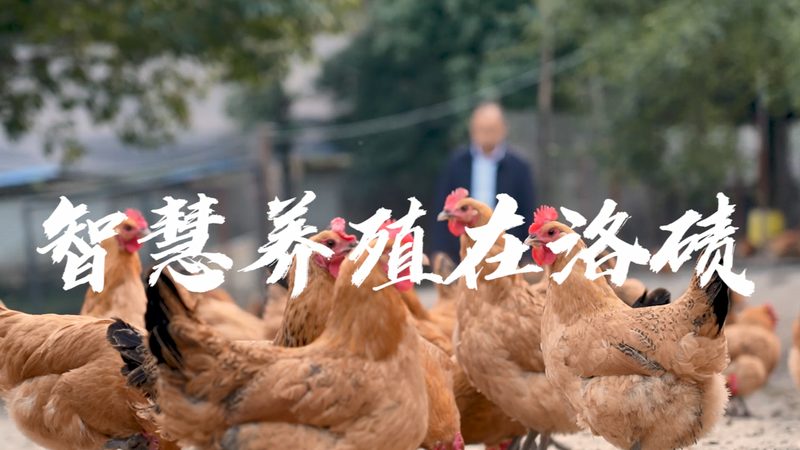 基因测序仪与PCR仪：揭开分子生物学研究的双剑之谜
