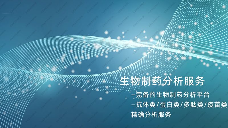 cro优化团队哪家专业