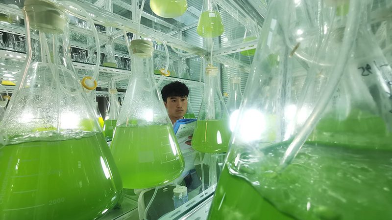 生物制品冷链运输：第三方物流公司的关键作用与选择要点